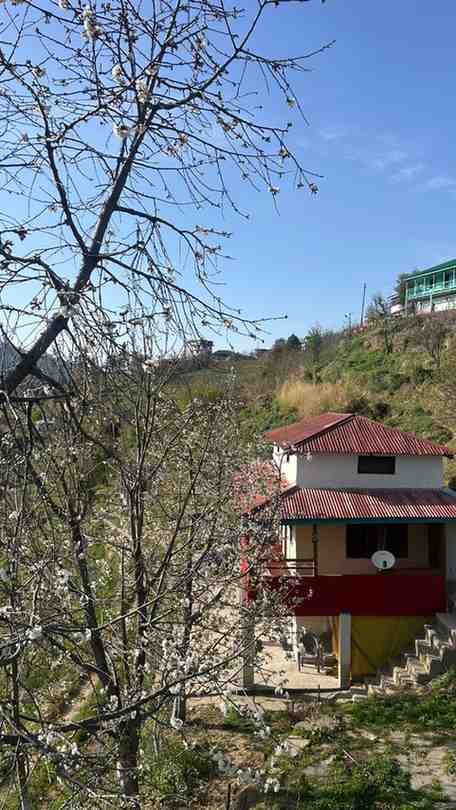 Pahadi village home in Himachal welcoming family